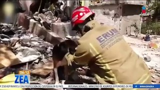 Rescatan a ocho perritos de los escombros tras una explosión en Tlalpan, CDMX