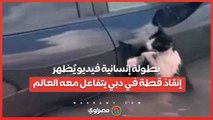 بطولة إنسانية فيديو يُظهر إنقاذ قطة في دبي يتفاعل معه العالم
