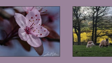 Spring photography!