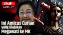 Mengenal Amicus Curiae yang Diajukan Megawati ke MK | SINAU