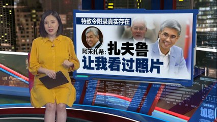 纳吉特赦令真实性确认：扎希证实曾查看相关证据📝
