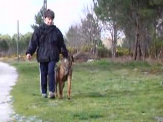 Vidéo suite Crack le 6 avril 2008