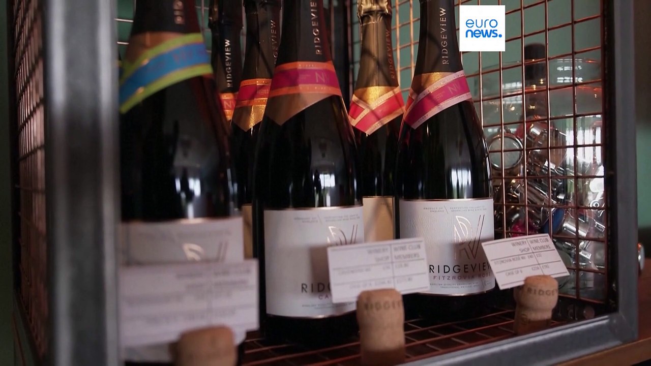 Le Royaume-Uni veut abaisser degré d'alcool des vins pour promouvoir sa production à l'étranger