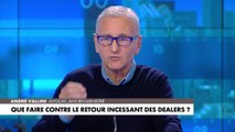 André Vallini : «Il faut sanctionner les consommateurs (...) Il faut les faire payer»