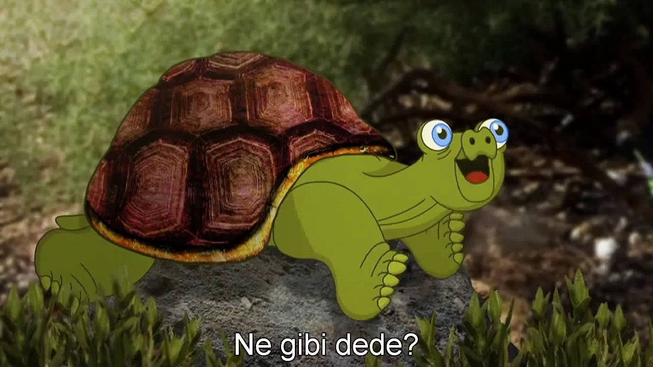 Ornitorenkin neden bu kadar sıradışı görünümü var