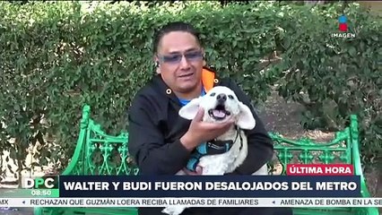 Dueño del perrito Budi narra cómo fue que los desalojaron del Metro