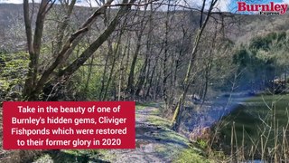 Enjoy the stunning beauty and surroundings of the Cliviger Fishponds in Burnley