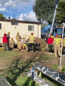 Miracle à Los Angeles : Sauvetage épique d'un cheval géant coincé dans un gouffre !