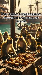 expression toucher une peau de singe
