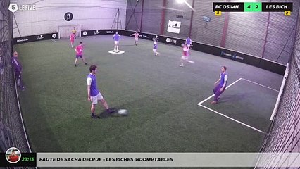 Faute de sacha delrue - Les Biches Indomptables