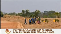 Vpdta. Delcy Rodríguez plantó el árbol N.º 1.000 en el “Jardín de la Esperanza” del edo. Cojedes