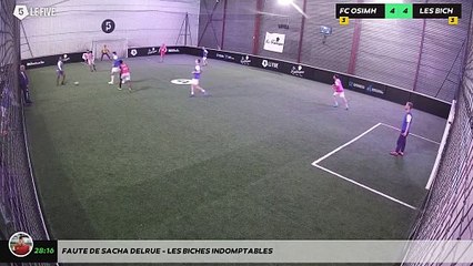 Faute de sacha delrue - Les Biches Indomptables