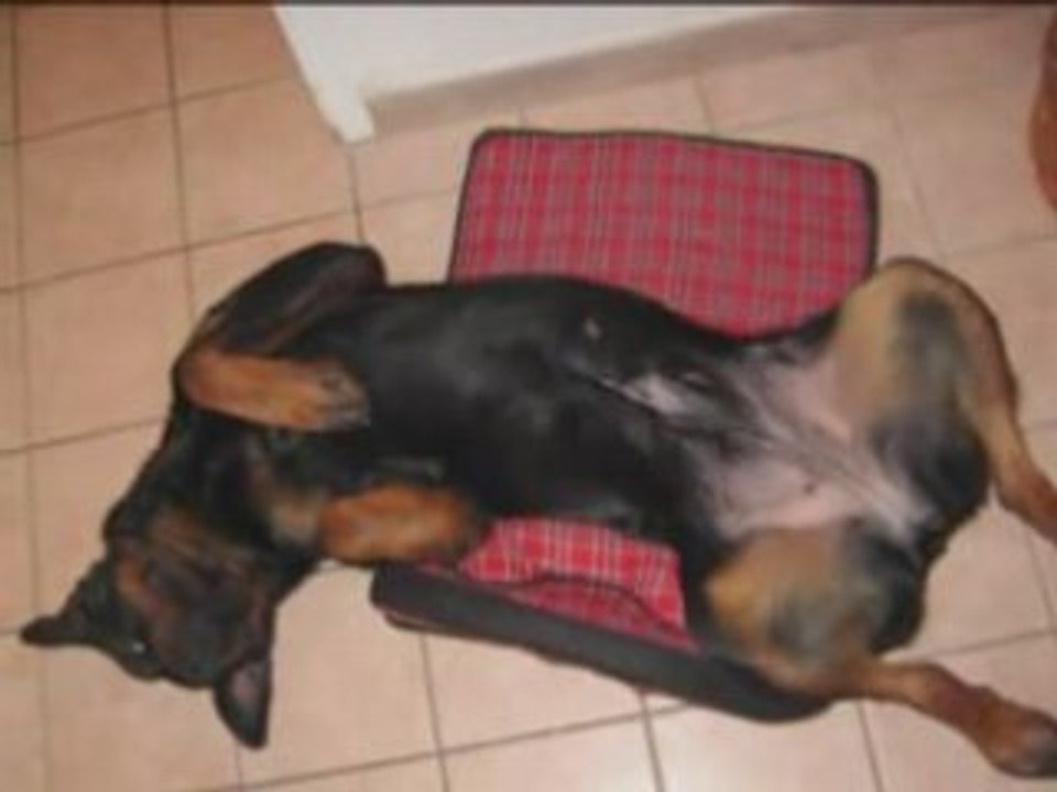 Vidéo athéna