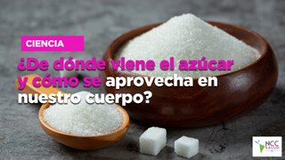 ¿De dónde viene el azúcar y cómo se aprovecha en nuestro cuerpo?