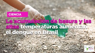 La acumulación de basura y las altas temperaturas aumentan el dengue en Brasil