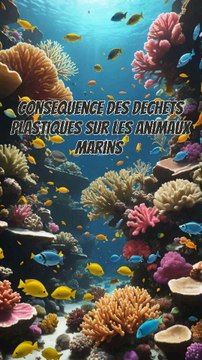 les conséquences des déchets plastiques dans la mer