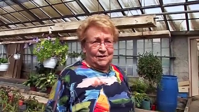 La tendance des maisons insolites