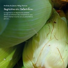 -ANDRÉS DE JESÚS VÉLEZ FRANCO- ESGRIMA EN COLOMBIA (PARTE 1) (@AndresdeJesus90)