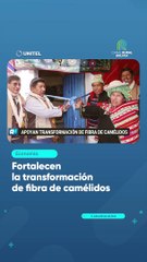 Fortalecen la transformación de fibra de camélidos