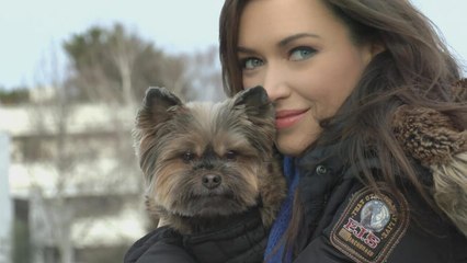 Mon maître est une célébrité vidéo bande annonce