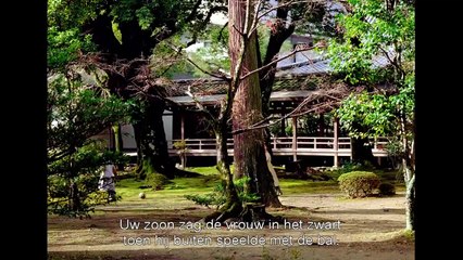 The Assassin Bande-annonce (NL)