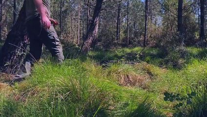 Camp alone, fish, build a campfire and camp out for dinner every day in the middle of nature