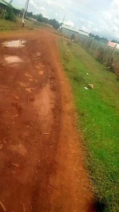 African roads