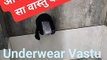 अंडरवियर वास्तु l Vastu for undergarments l #jyotishgher #vastu #vastutips