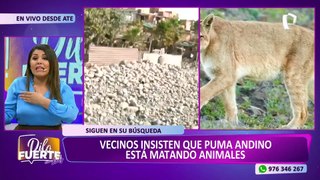 Vecinos de ATE denuncian que sus animales siguen muriendo a causa de puma andino