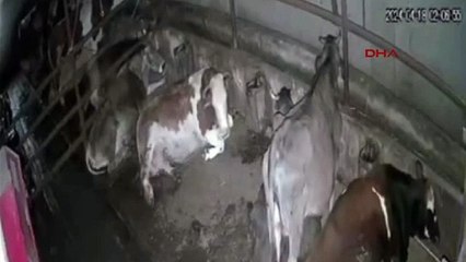 Tokat'taki deprem anı güvenlik kamerasında!