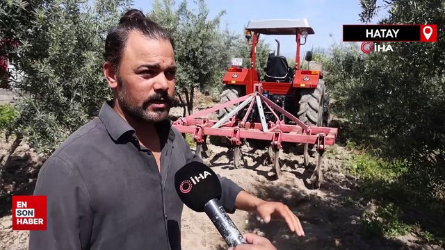 Hatay'da bahçesini çapalayan çiftçi Bizans dönemine ait altın sikkeler buldu