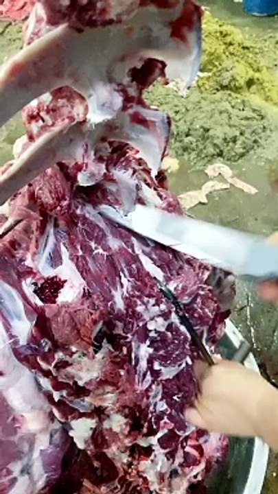 meat cutting tutorial