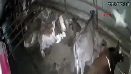 Tokat'taki deprem anı, güvenlik kameralarına yansıdı