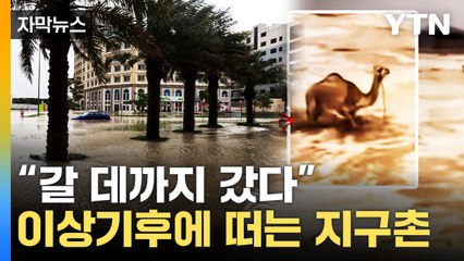 [자막뉴스] "12시간 만에 1년 치 비"...이상기후 나비효과 韓까지 / YTN