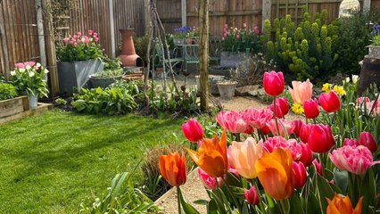"I transformed my boring new build garden into a countryside oasis for £4k"