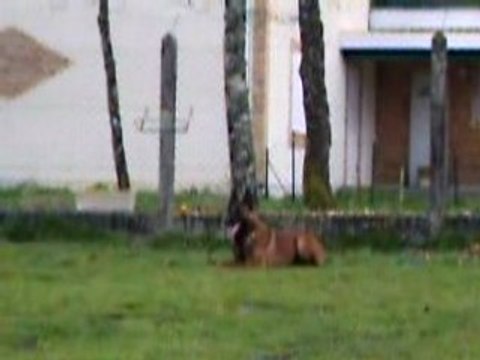 Vidéo coucher avec rappel Crack le 6 avril 2008