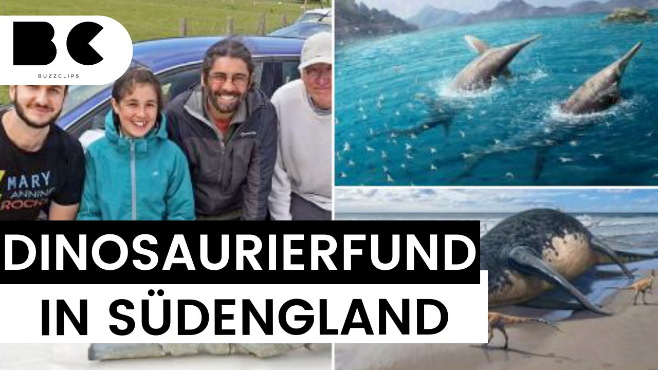 Sensationell: elfjährige findet fossilien von riesigem dinosaurier