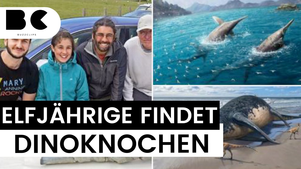Außergewöhnlicher Dinosaurierfund in Südengland
