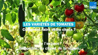 Roland Motte, jardinier : quelle variété de tomate choisir ?