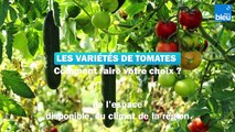 Roland Motte, jardinier : quelle variété de tomate choisir ?