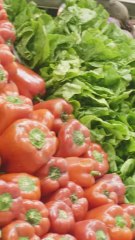 ECTLS - Pourquoi n'y a-t-il pas d'aliments bleus ?