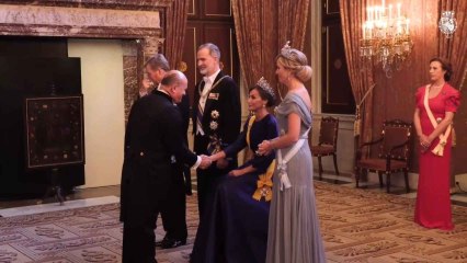 Letizia, en el besamanos del Palacio Real de Ámsterdam.