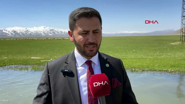 Hakkari'de 40 bin lira maaşla çalışacak çoban bulamayınca İran'dan getirdiler!