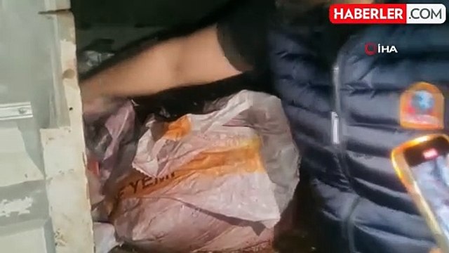 Sultangazi'de at eti baskını: Kamyonetten at eti çıktı, ahırda ise 3 at bulundu