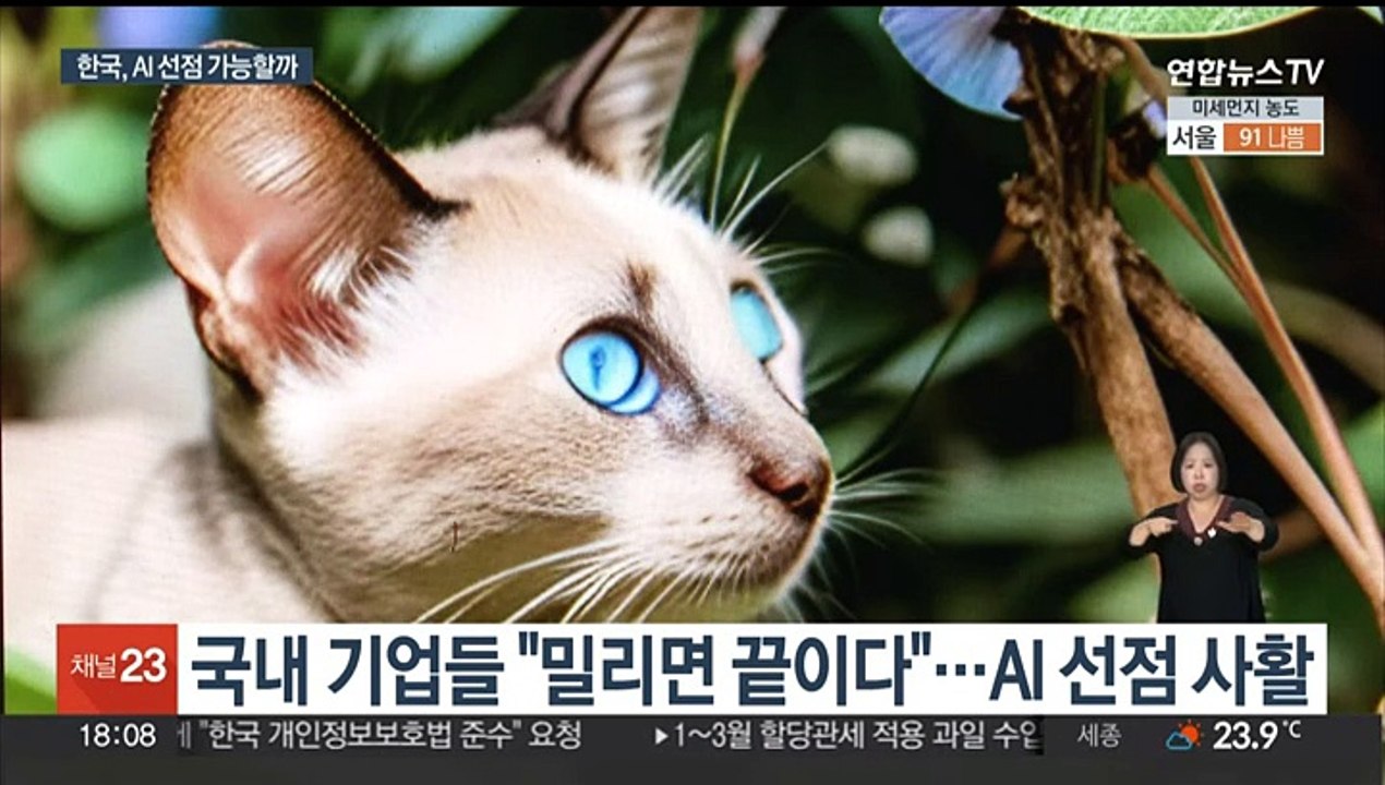 AI 개발 뛰어드는 국내 기업들…글로벌 경쟁력 '의문'