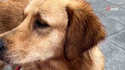 "Cuando me topo con ese tipo de establecimientos, corro a poner reseña en Google"