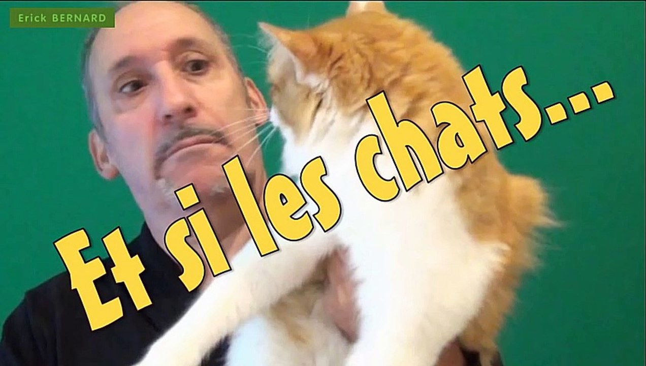 Les chats, les chiens, les humains.