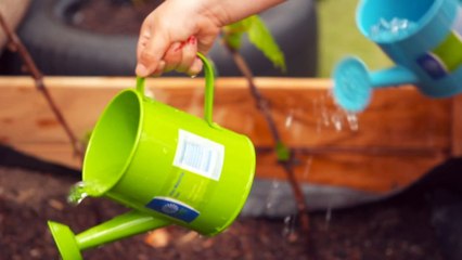 Australia experiencing a near-record low fertility rate