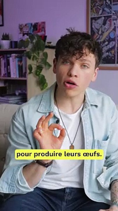 DIS POURQUOI - C'est toujours moi qui me fait piquer par les moustiques !