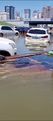 Sharjah Residents in flooded areas notice oil slick for over 2 kilometers in accumulated water